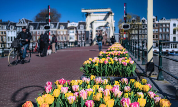 Tulp Festival Amsterdam brengt groet aan het voorjaar