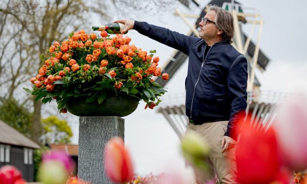 Guus Meeuwis doopt eigen tulp in Keukenhof