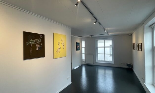 Galerie Pouloeuff biedt fraai podium aan jonge kunstenaars