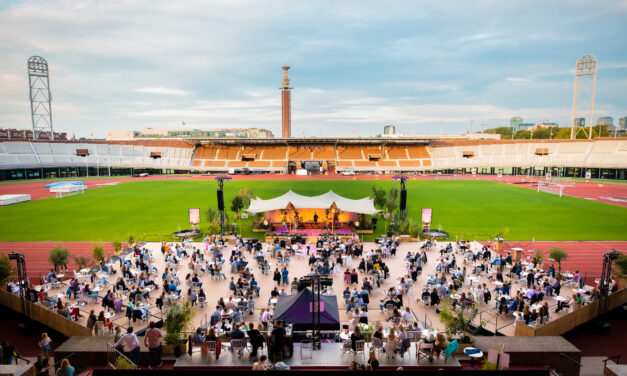 De AmsterdamSE Zomer 2022 met groots stadionconcert