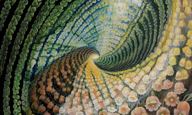 Flower Art Museum toont magische wereld vol kleur en diepere lagen
