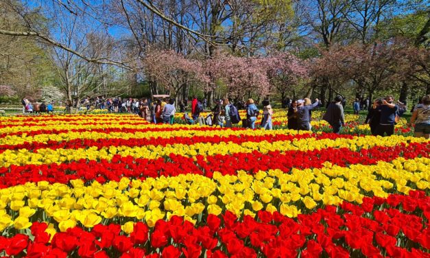 Keukenhof grote trekpleister tijdens de paasdagen