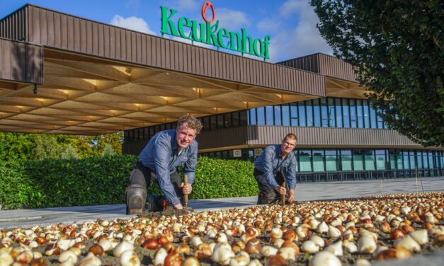 Tuinmannen trappen nieuwe seizoen Keukenhof af