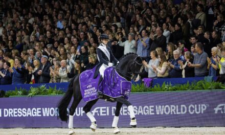 Beleef de magie van paardensport op wereldniveau tijdens Jumping Amsterdam