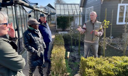 Snertwandeling en workshop fruitbomen enten bij Historische Tuin